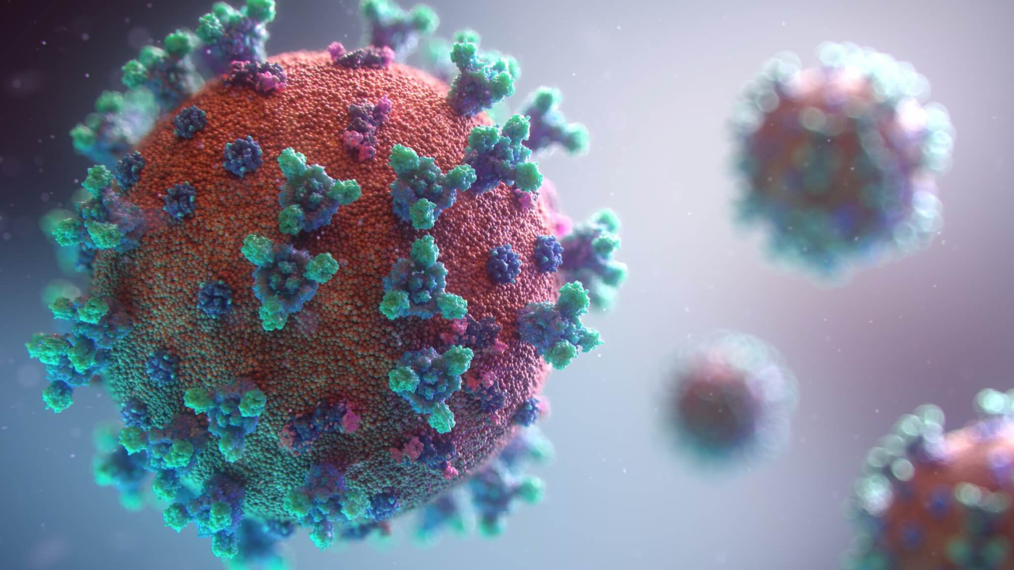 FDA не рекомендует тестирование на антитела для подтверждения иммунитета среди вакцинированных от COVID-19 FDA не рекомендует тестирование на антитела для подтверждения иммунитета среди вакцинированных от COVID-19