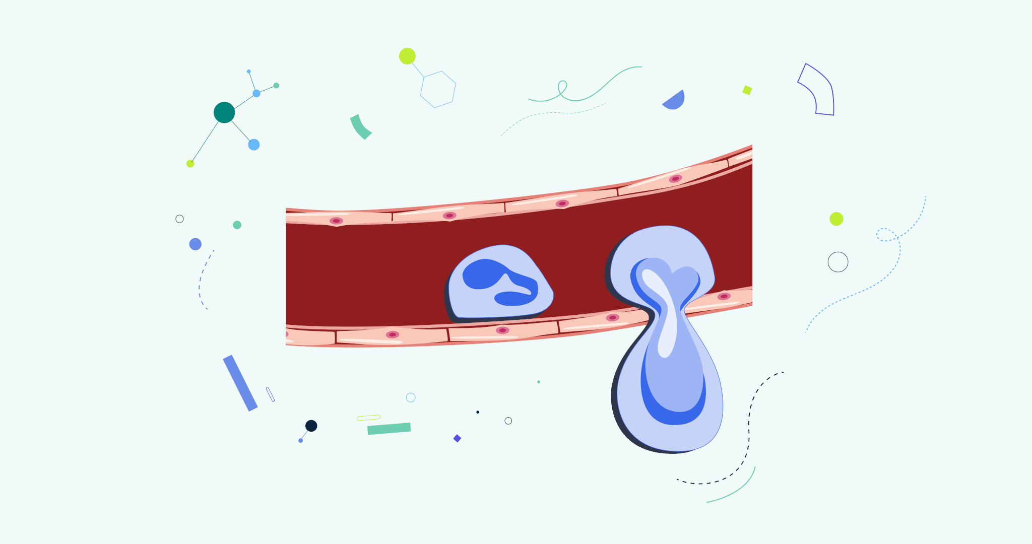 Как меняется поведение иммунных клеток при воспалении Как меняется поведение иммунных клеток при воспалении