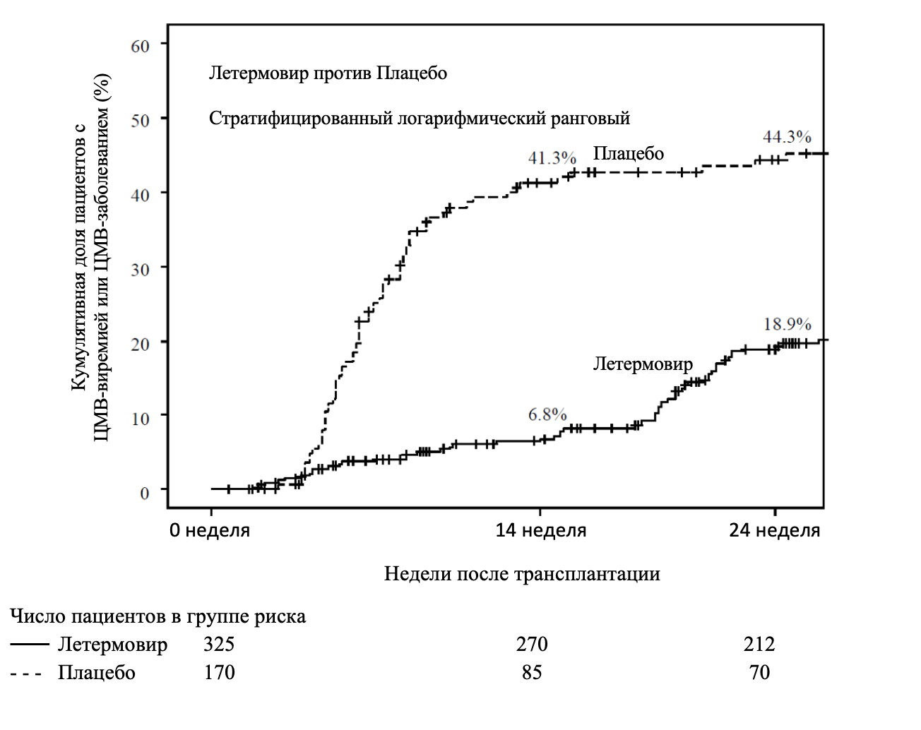 Рисунок 1